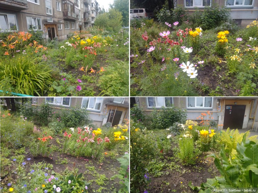 Это было летом 2025 года (2)