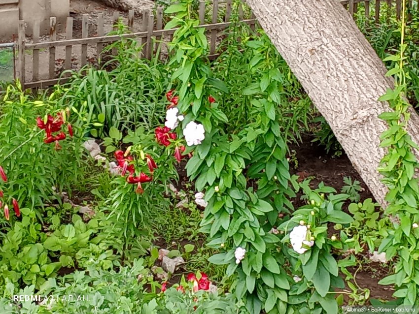 Это было летом 2025 года (2)