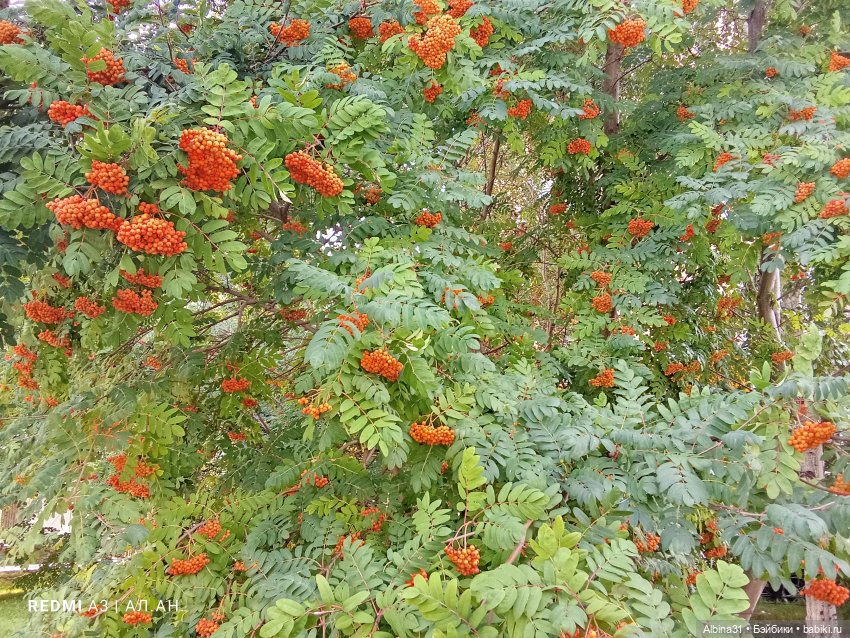 Это было летом 2025 года (2)