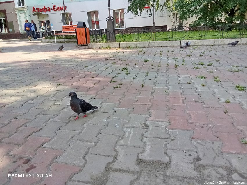 Это было летом 2025 года (2)