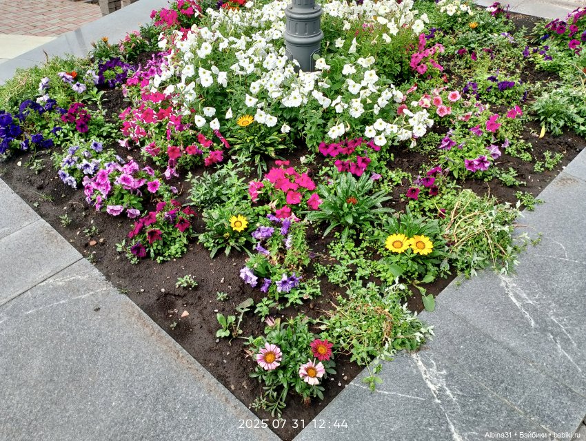 Летние прогулки Принца (окончание)