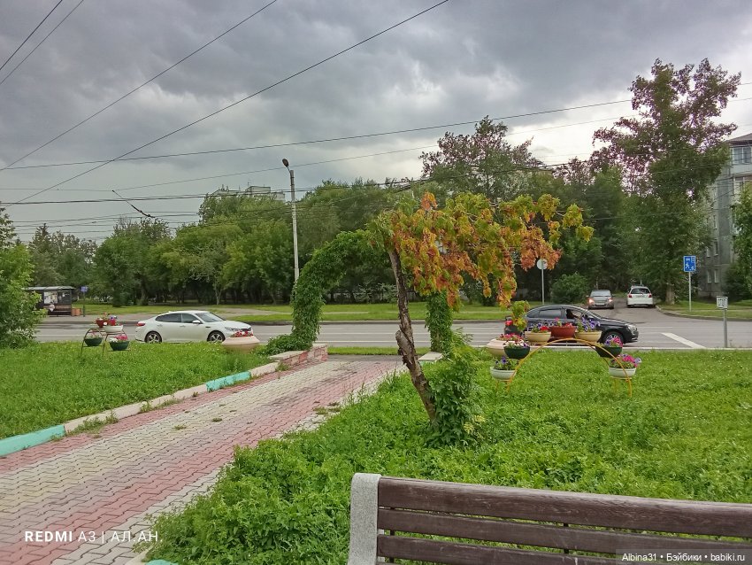 Летние прогулки Принца (окончание) (фото 7)