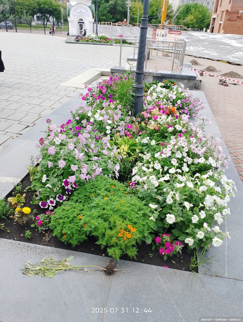 Летние прогулки Принца (окончание)