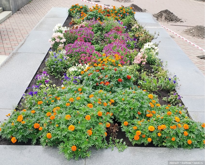 Летние прогулки Принца (окончание)