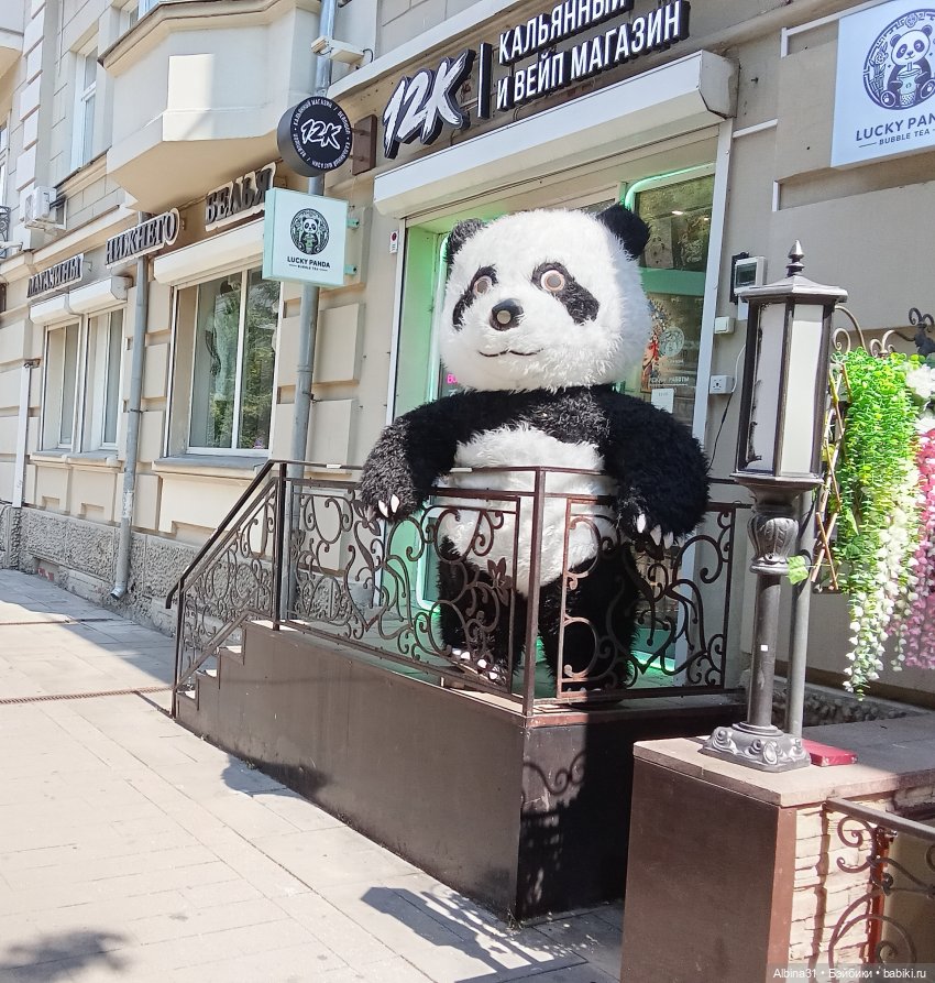 Летние прогулки Принца (окончание)