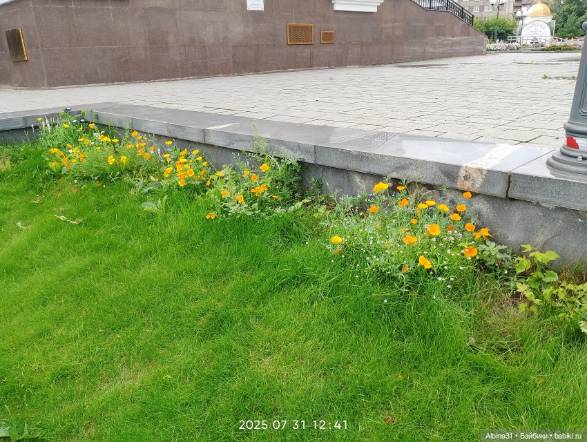 Летние прогулки Принца (окончание)