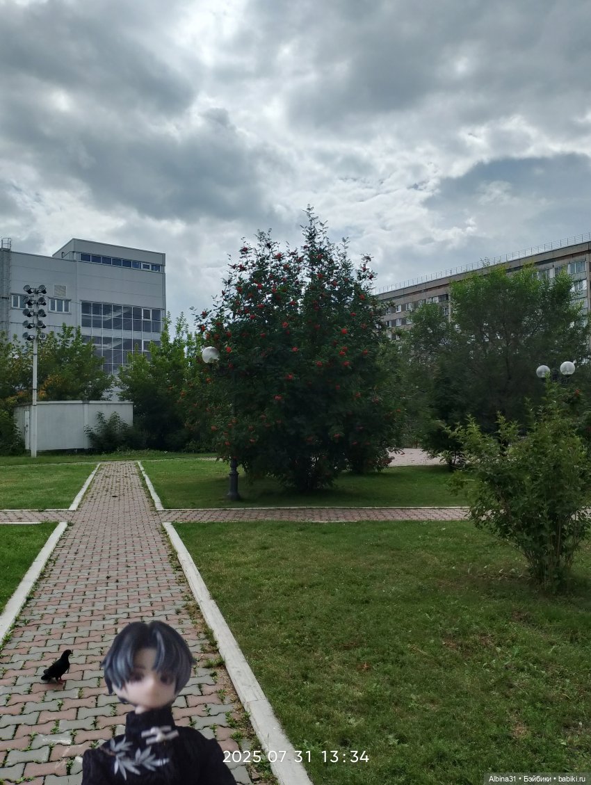 Летние прогулки Принца (окончание)