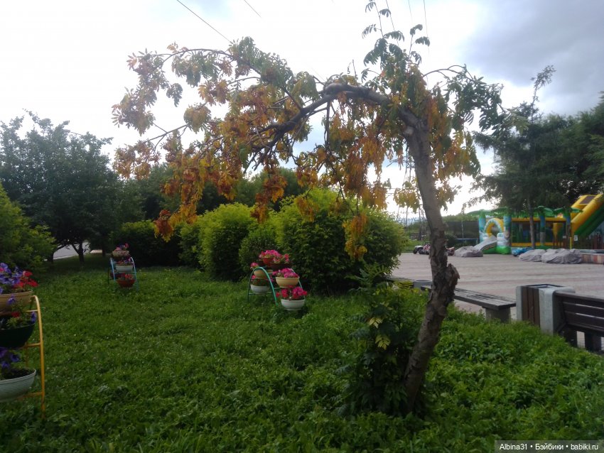 Летние прогулки Принца (окончание) (фото 8)