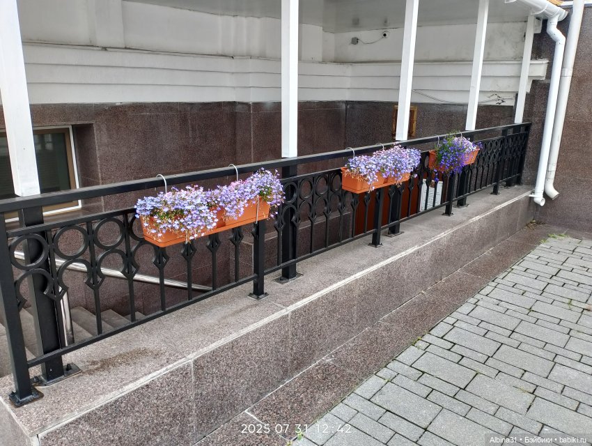 Летние прогулки Принца (окончание)