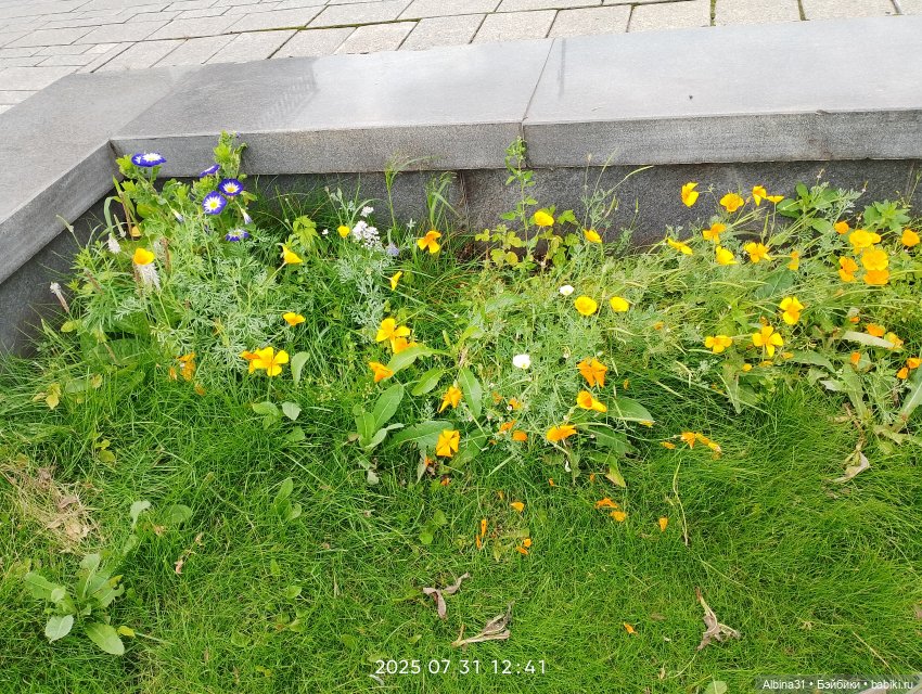 Летние прогулки Принца (окончание)