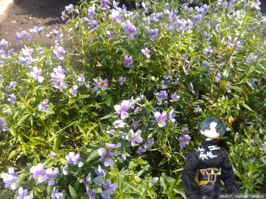 Летние прогулки Принца (окончание)