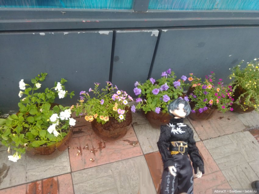 Летние прогулки Принца (окончание) (фото 2)