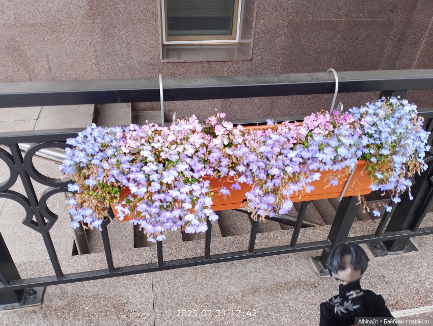 Летние прогулки Принца (окончание)