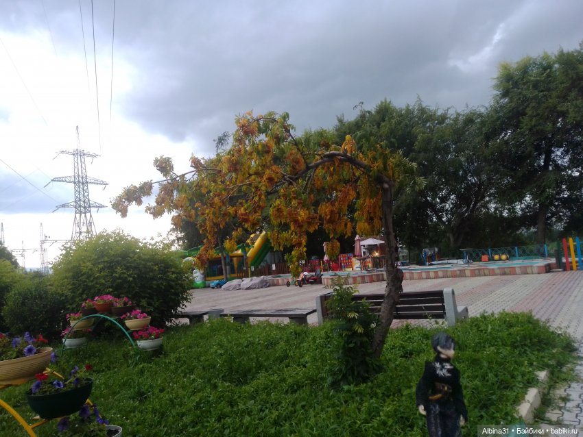 Летние прогулки Принца (окончание) (фото 6)