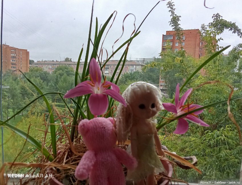 Мои куклёнки — Разные шарнирные куклы (не БЖД): редкие