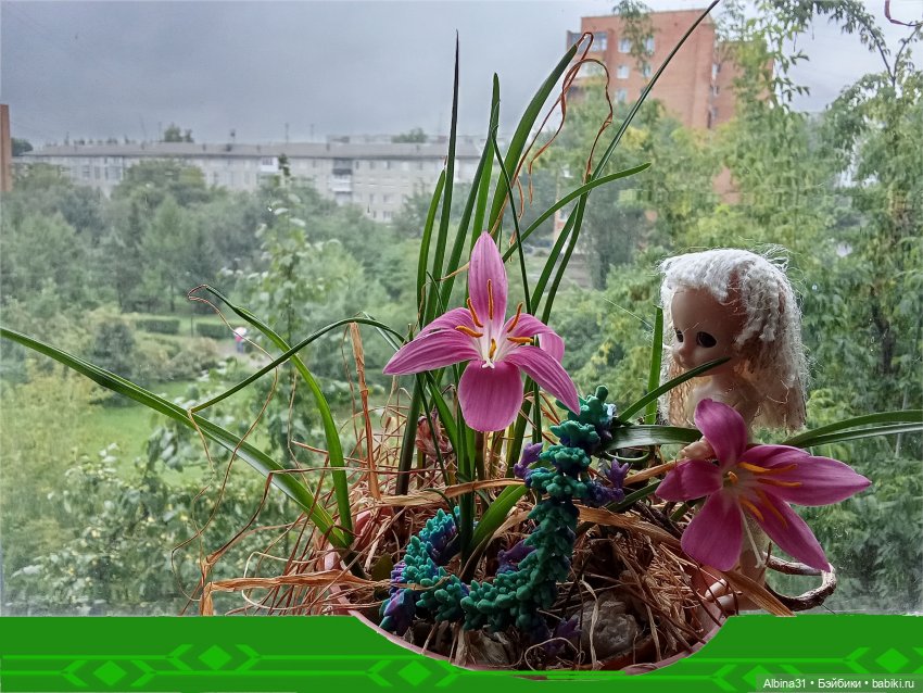 Мои куклёнки — Разные шарнирные куклы (не БЖД): редкие (фото 3)