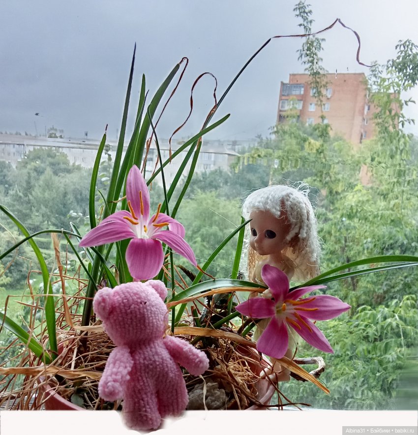 Мои куклёнки — Разные шарнирные куклы (не БЖД): редкие (фото 2)