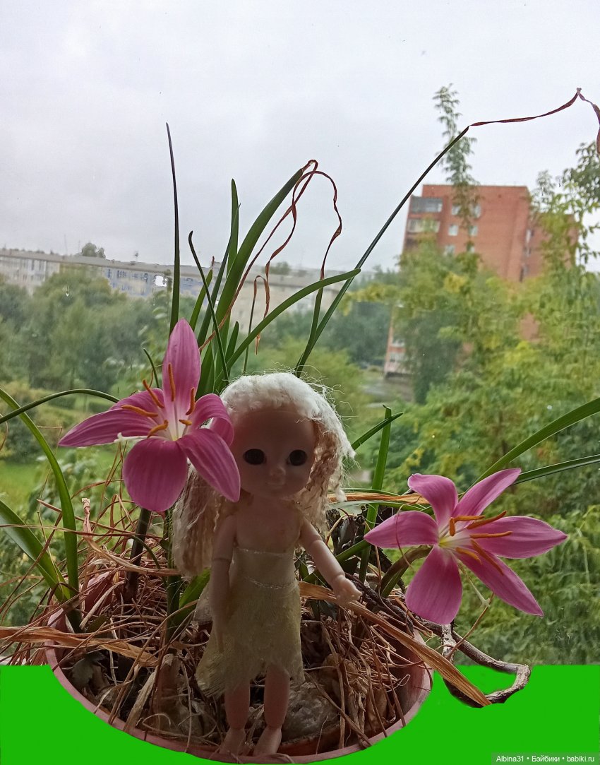 Мои куклёнки — Разные шарнирные куклы (не БЖД): редкие (фото 4)