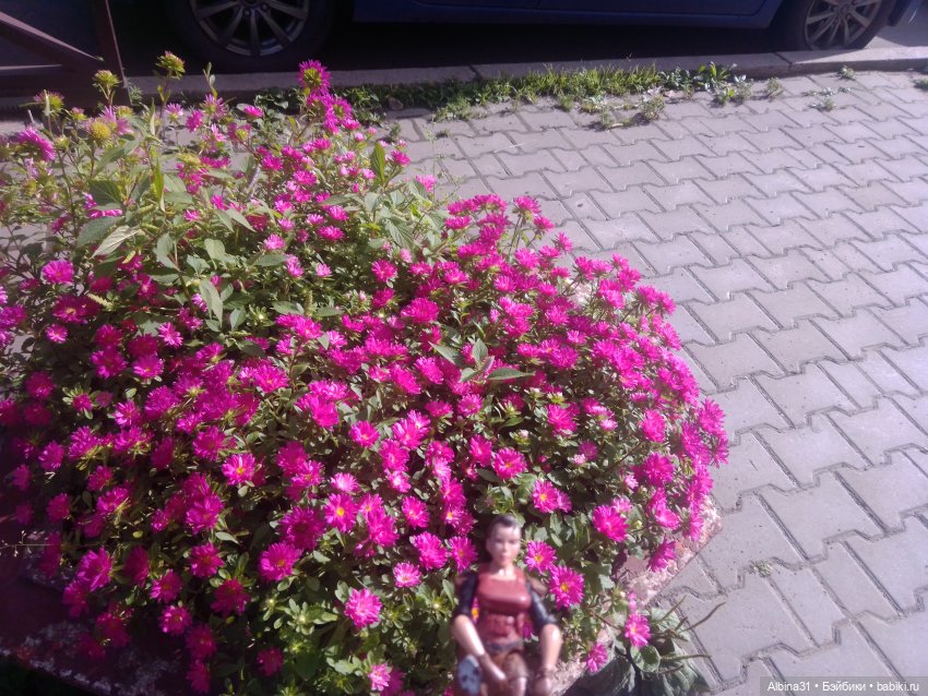 Это было летом 2025 года (3)