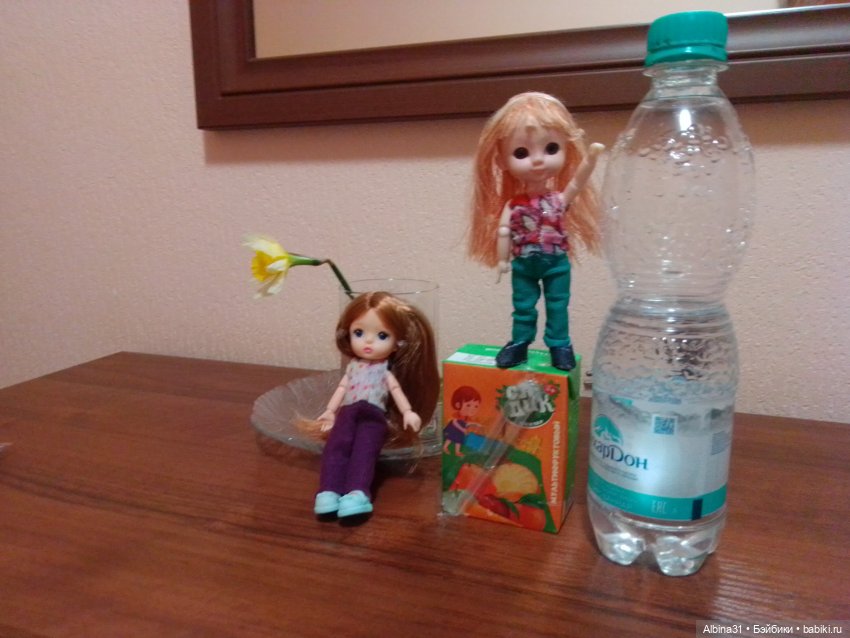 Путешественники или фотосессии в гостиницах Краснодара (фото 5)