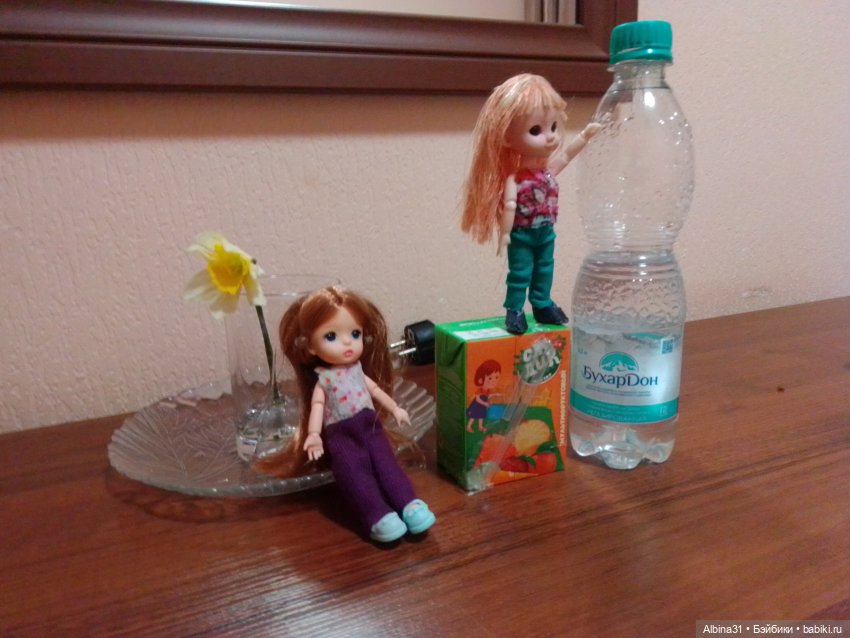 Путешественники или фотосессии в гостиницах Краснодара (фото 4)