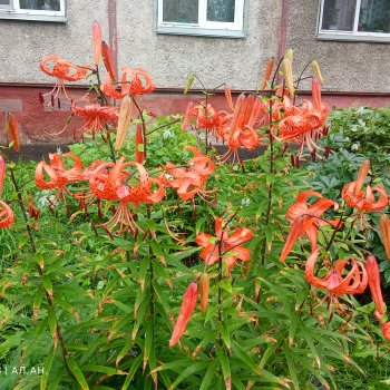 Это было летом 2025 года (3)