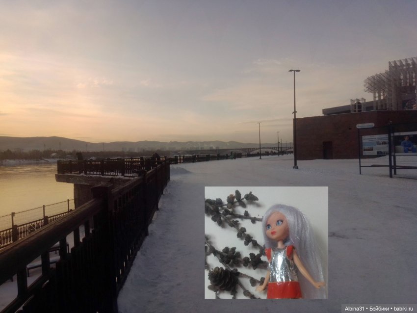 1 января 2026 год — Игровые куклы разных производителей (Разное): редкие бренды (фото 4)