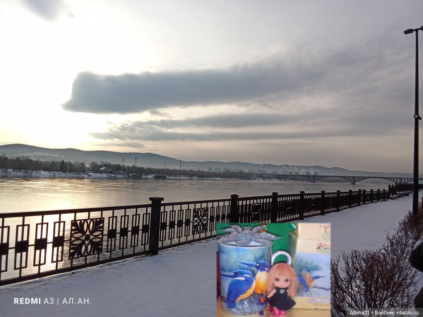 1 января 2026 год — Игровые куклы разных производителей (Разное): редкие бренды