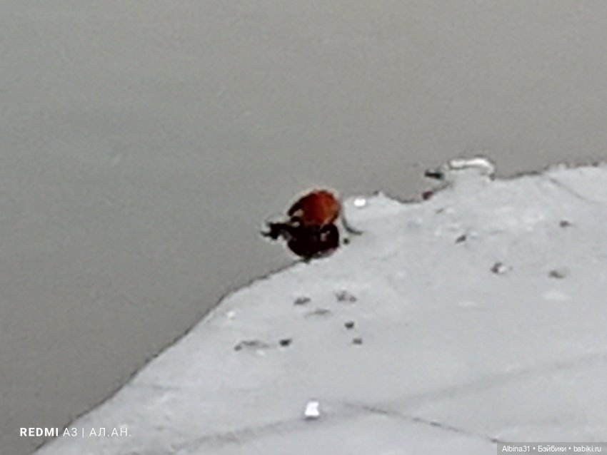 1 января 2026 год — Игровые куклы разных производителей (Разное): редкие бренды