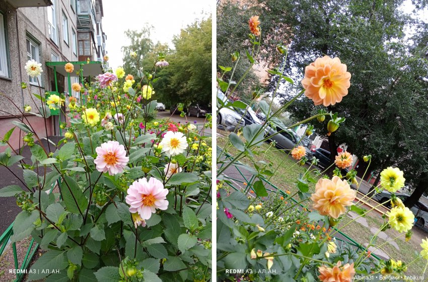 Это было летом 2025 года (3) (фото 10)