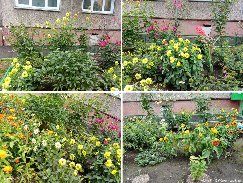 Это было летом 2025 года (3) (фото 8)