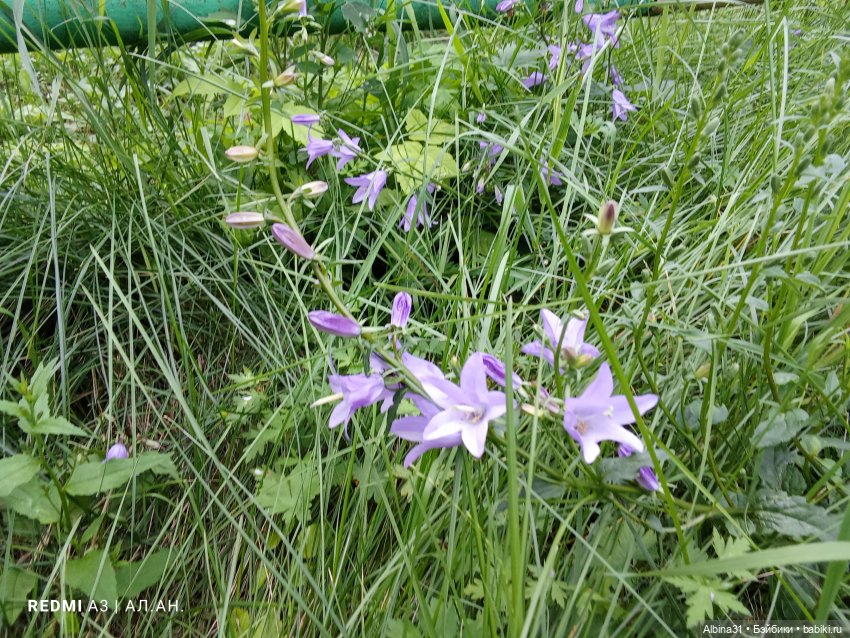 Это было летом 2025 года (3)