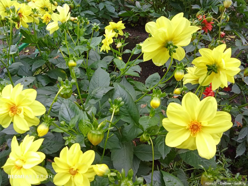 Это было летом 2025 года (3) (фото 7)