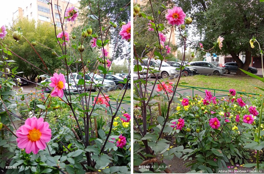 Это было летом 2025 года (3) (фото 9)