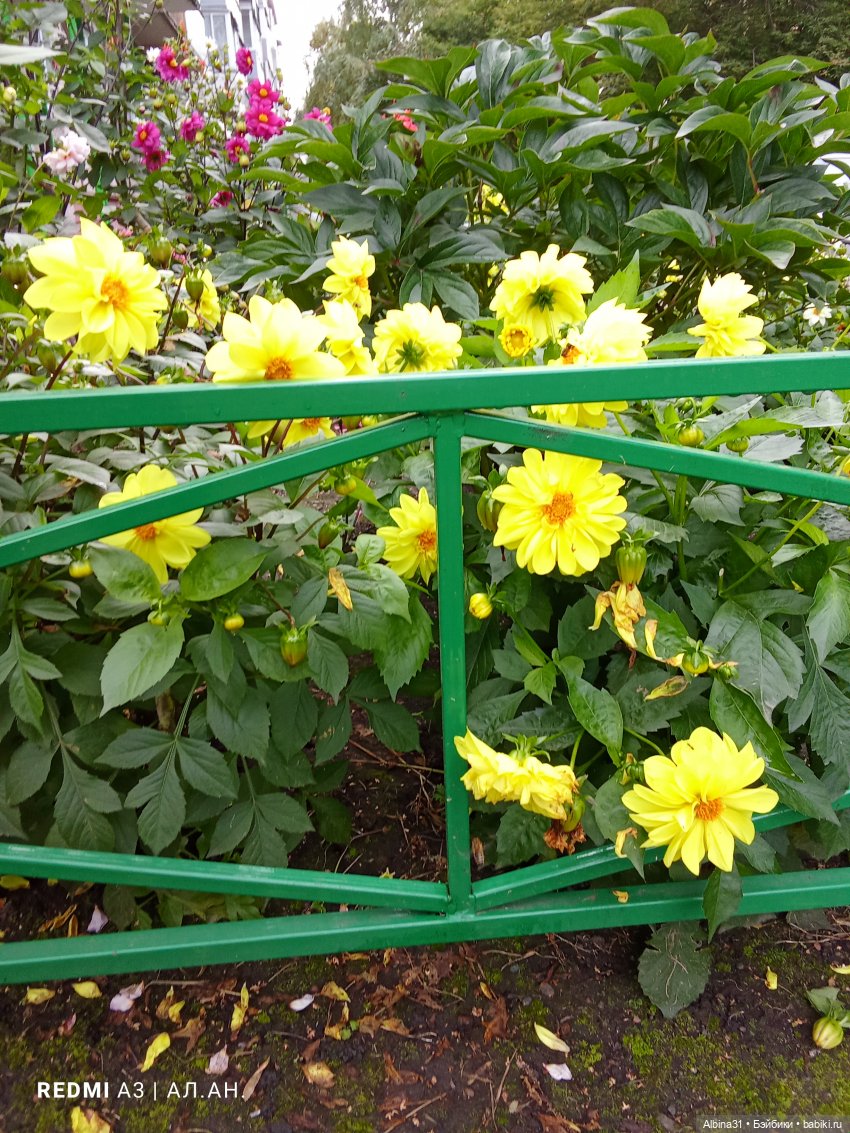 Это было летом 2025 года (3)