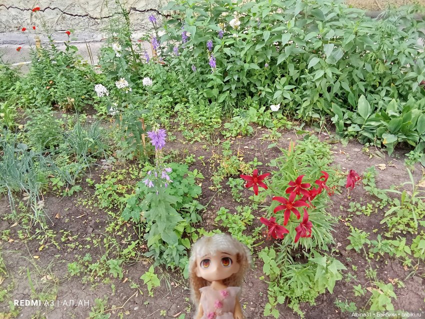 Это было летом 2025 года (3) (фото 6)