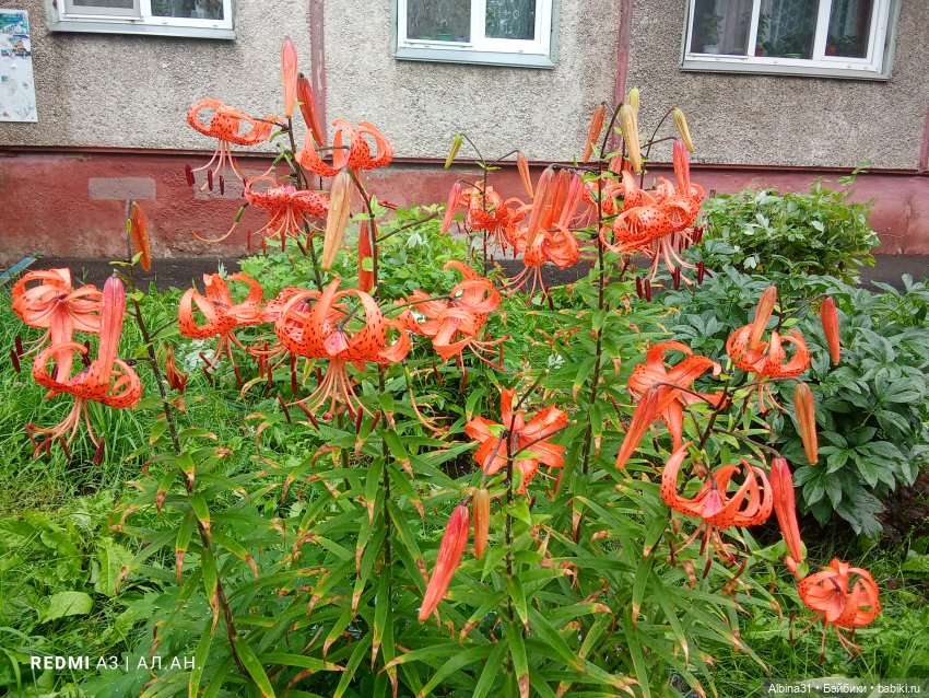 Это было летом 2025 года (3)