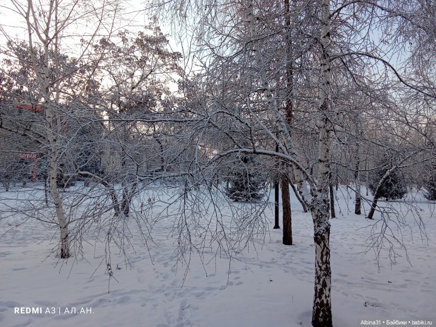 Декабрь 2025 — Игровые куклы разных производителей (Разное): редкие бренды