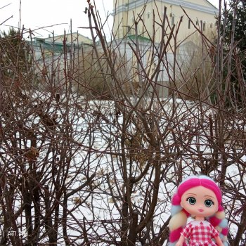 Зимний парк