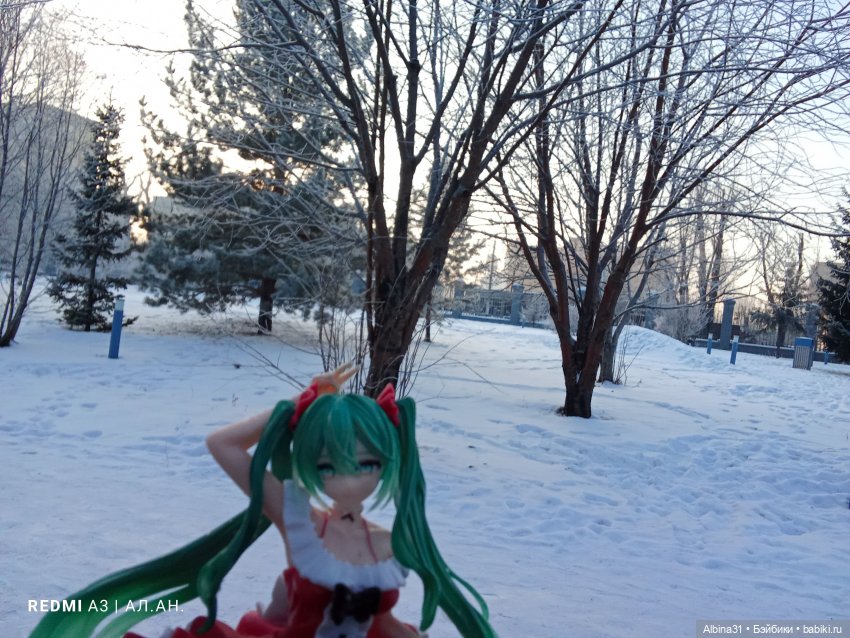 Зимний парк — Игровые куклы разных производителей (Разное): редкие бренды (фото 5)