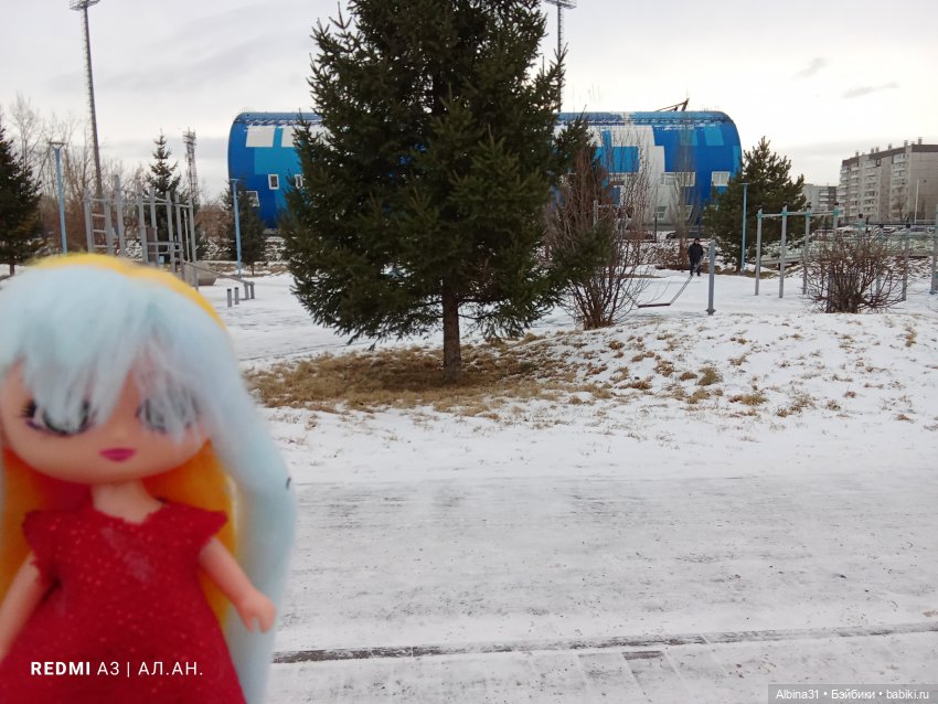 Зимний парк — Игровые куклы разных производителей (Разное): редкие бренды