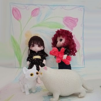 Фотосессия  восьмого марта