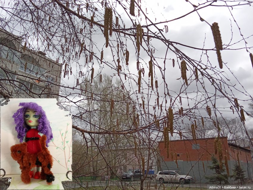 Май 2026... Куклы, город — Прочие игровые куклы для девочек