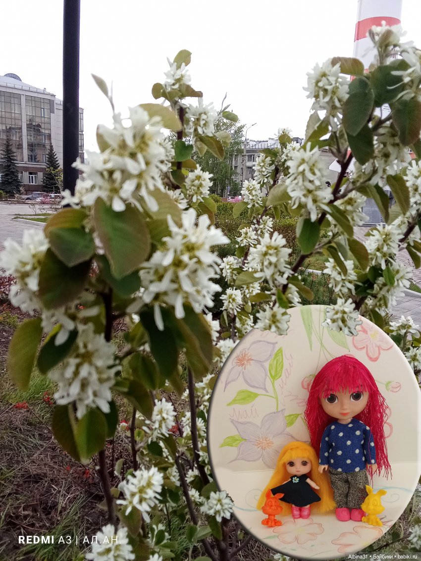 Май 2026... Куклы, город... 2
