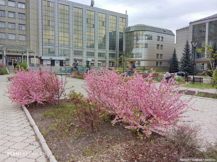 Май 2026... Куклы, город... 2
