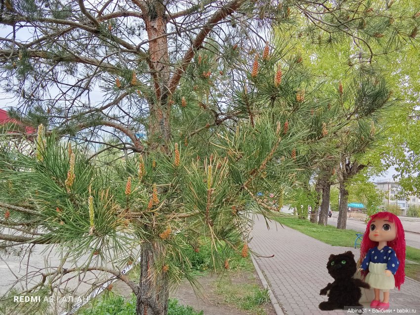 Май 2026... Куклы, город... 2