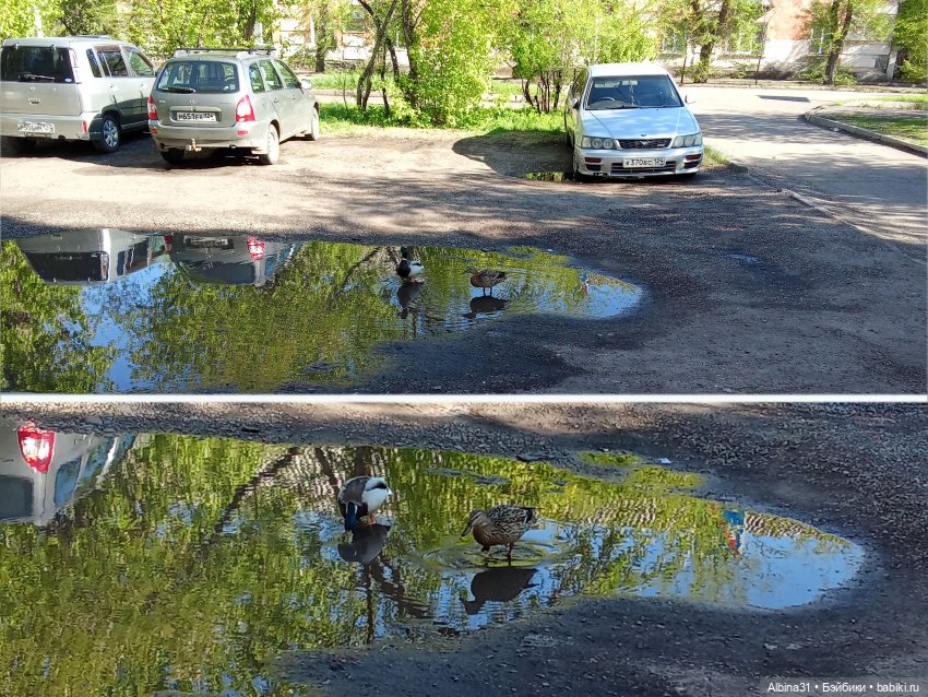 Май 2026... Куклы, город... 3 (фото 9)
