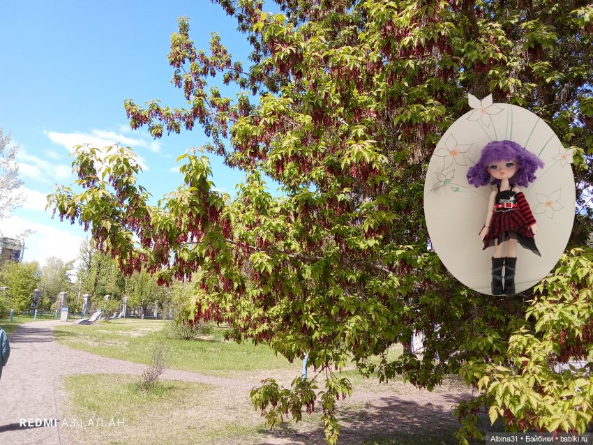 Май 2026... Куклы, город... 3 (фото 7)