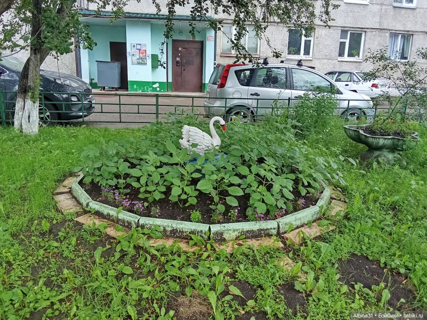Июль 2026 — Разные шарнирные куклы (не БЖД): редкие (фото 9)