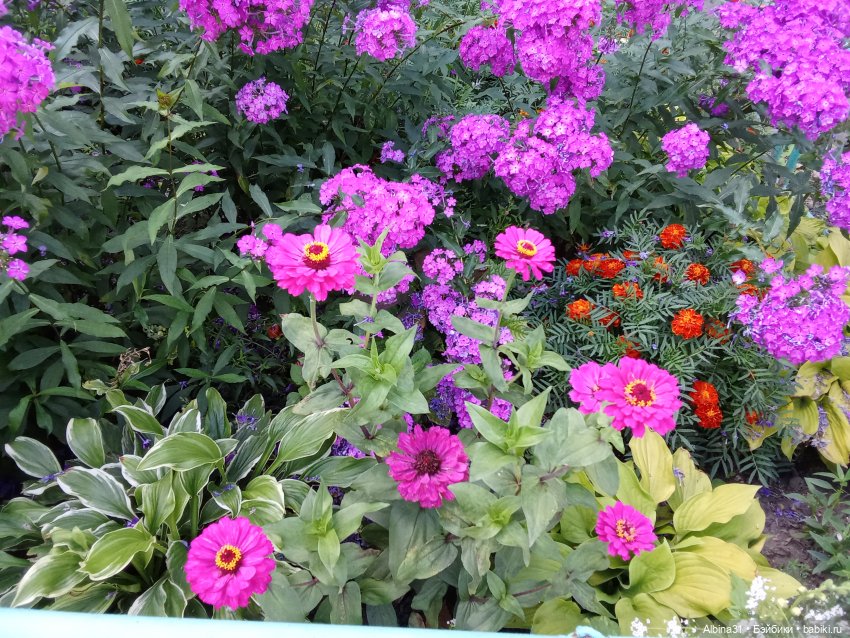 Август 2026 — Разные шарнирные куклы (не БЖД): редкие (фото 3)